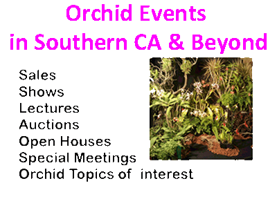Events