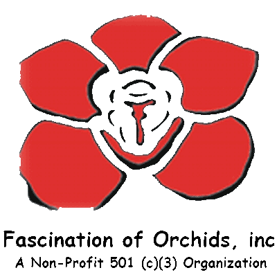 FO logo